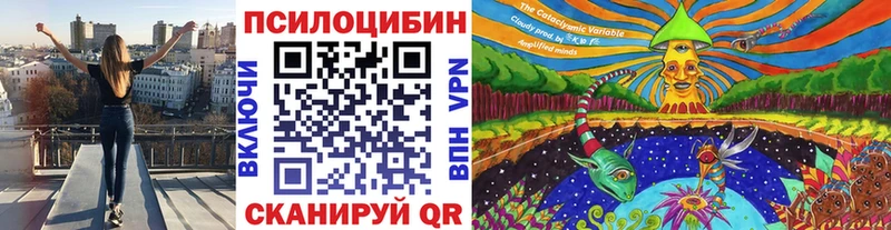 MEGA ТОР  Раменское  Галлюциногенные грибы ЛСД  купить  